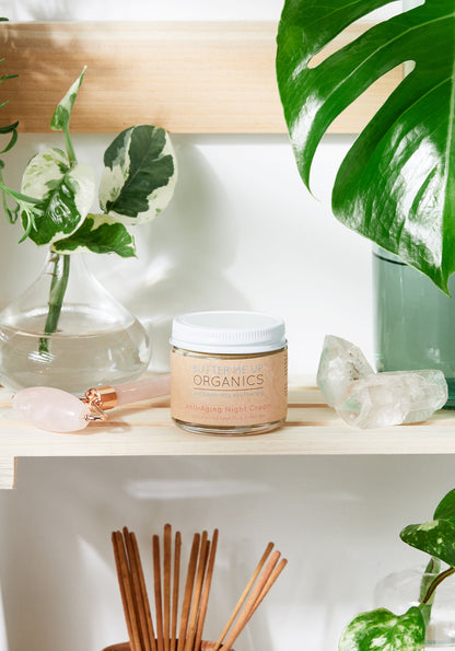 BMU Anti Aging Night Face Moisturizer