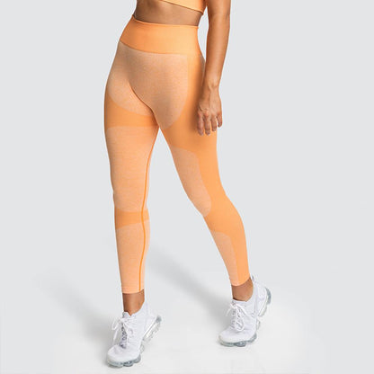 High Waist Athletic Leggings And Stretch Sports Bra